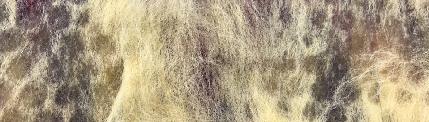 kleuren foto met afdruk van noppen in wol.